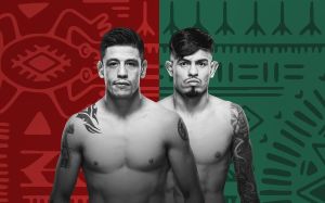 Прямая трансляция UFC Fight Night 237