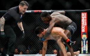 Исраэль Адесанья победил Келвина Гастелума на UFC 236