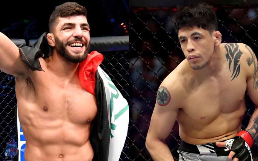 Где смотреть UFC Fight Night 246: Брэндон Морено – Амир Альбази