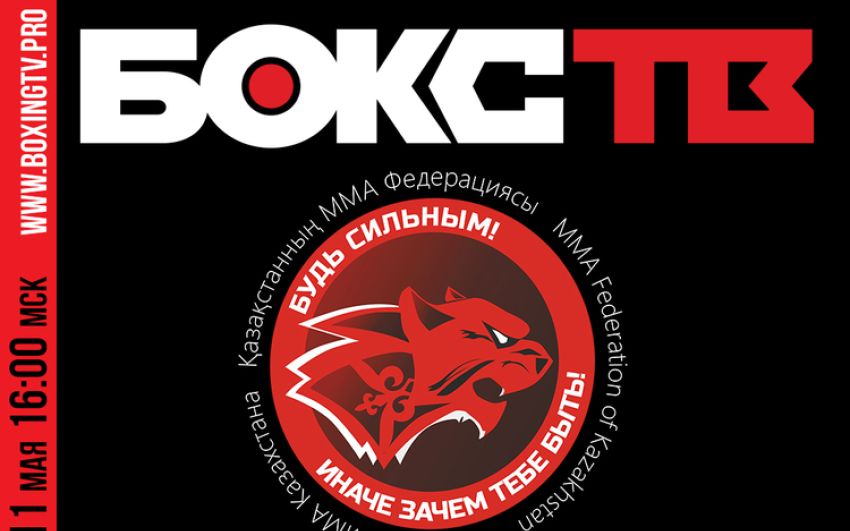 Финал чемпионата Казахстана по ММА