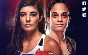 Видео боя Ливинья Соуза - Алекс Чемберс UFC Fight Night 137