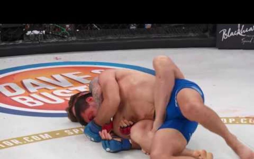 Лучшие моменты Bellator 180