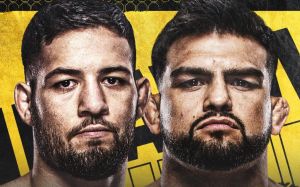 Файткард турнира UFC Fight Night 217