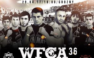 Прямая трансляция WFCA 36