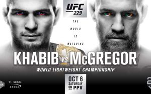 Бонусы и продажи билетов турнира UFC 229