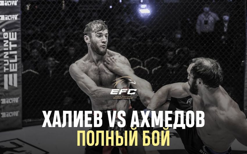 Видео боя Хасан Халиев – Юнус Ахмедов EFC 34