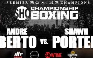 БК Fightnews.info. Тур 13. 22- 23 апреля 2017