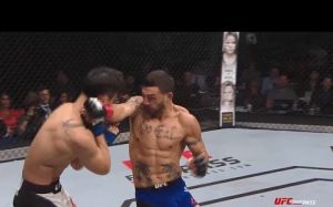 UFC 2016 в замедленном повторе