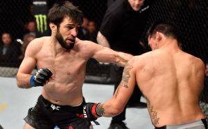 В UFC анонсировали следующий бой Зубайры Тухугова