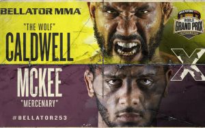 РП ММА №47 (BELLATOR 253): 20 ноября