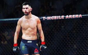 Джон Аник, Джо Роган и Доминик Круз будут комментаторами на UFC 209