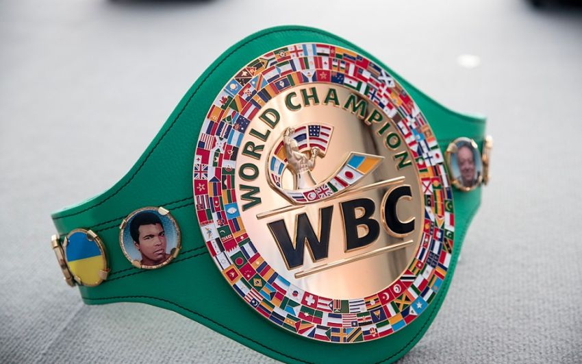 WBC назвал «Бойца года-2020» – их сразу два