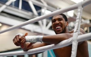 WBA ведет переговоры с IBF о ситуации с Энтони Джошуа