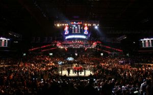 UFC анонсировал турниры на первый квартал 2018 года