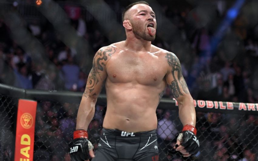 Рейтинг бойцов UFC за апрель 2022 года