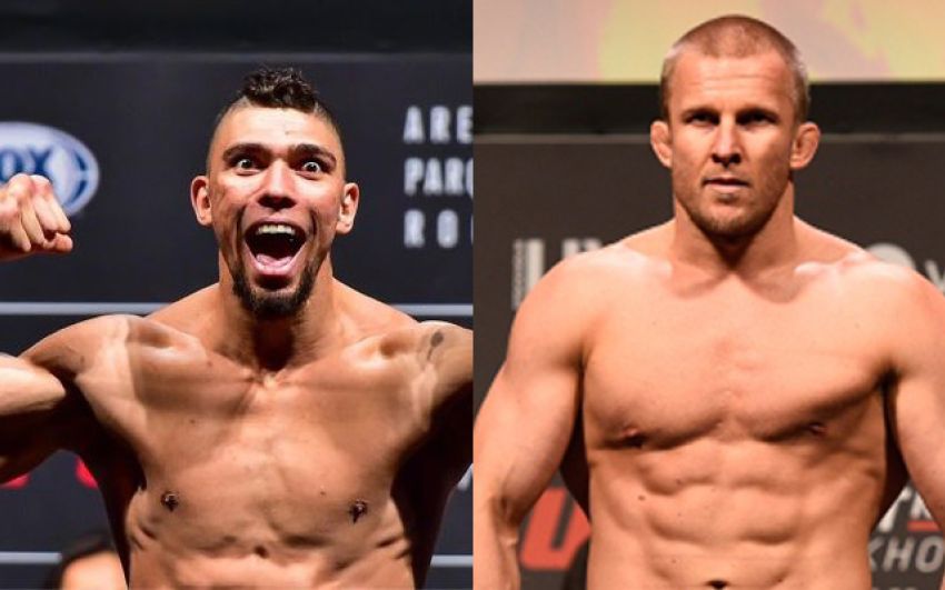 Джонни Уокер против Миши Циркунова на UFC 235