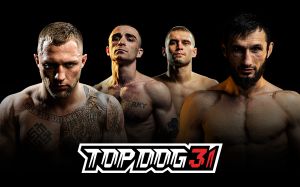Прямая трансляция Top Dog 31