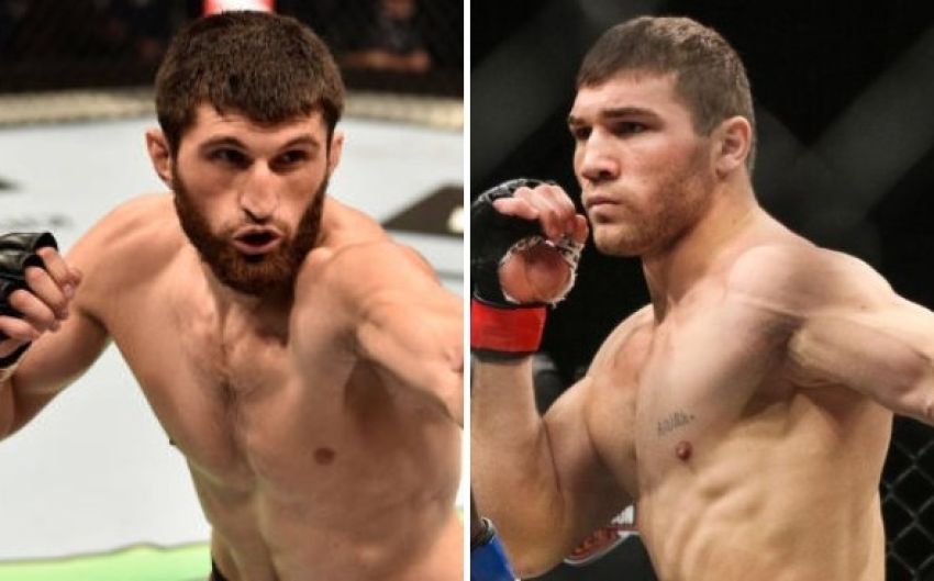 Магомед Анкалаев поделился мыслями насчет боя с Куцелабой 29-го февраля