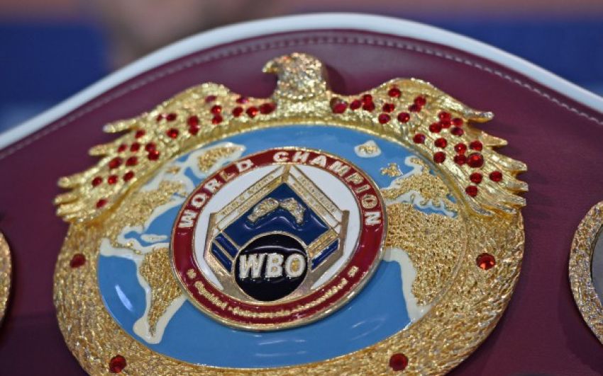 Обновился рейтинг WBO: Михалкин, Бурсак и Потапов — в топ-15 