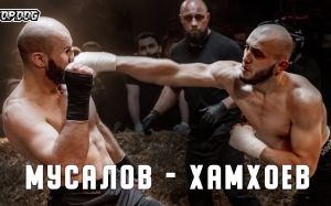 Видео боя Ислам Хамхоев - Махмуд Мусалов TDFC 7