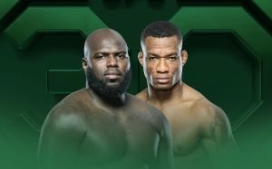Прямая трансляция UFC on ABC 4