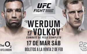 Файткард турнира UFC Fight Night 127: Вердум - Волков 