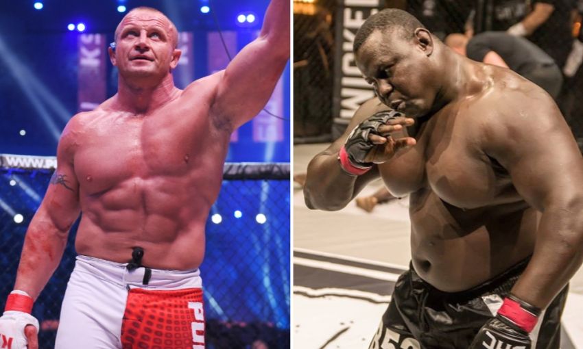 Прямая трансляция KSW 59