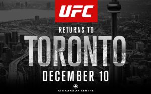 Расширенное превью к UFC 206