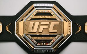 Рейтинг бойцов UFC за июнь 2019 года