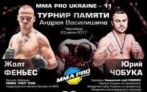 Прямая трансляция MMA Pro Ukraine 11
