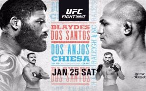 РП ММА №2 (UFC FIGHT NIGHT 166 / BELLATOR 238): 26 января