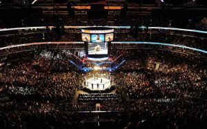 Flash Entertainment продала все свои акции в UFC