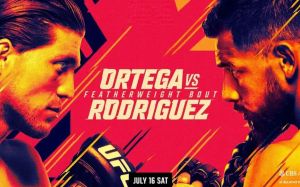 Файткард турнира UFC on ABC 3