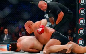 Реакция в Твиттере на победу Федора Емельяненко над Чейлом Сонненом