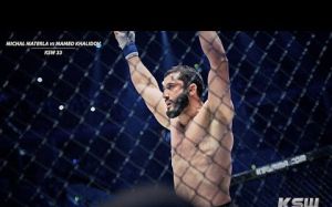 Лучшие моменты KSW 2015