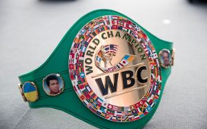 WBC назвал «Бойца года-2020» – их сразу два