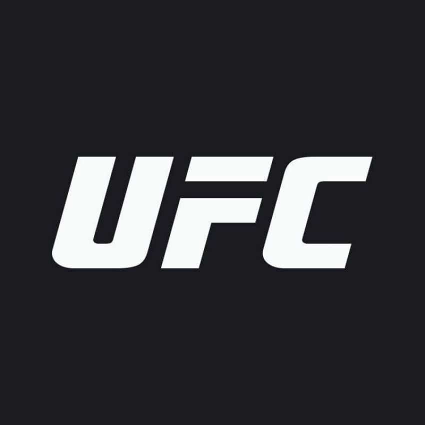Рейтинг бойцов UFC за январь 2019 года