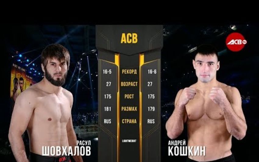 Видео боя Андрей Кошкин - Расул Шовхалов ACB 86