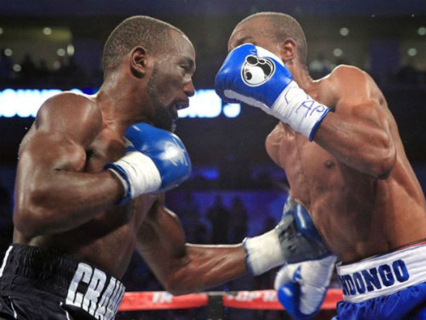 Итоги августа 2017 по версии пользователей fightnews.info