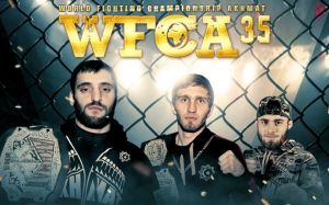 Предварительный файт-кард WFCA 35