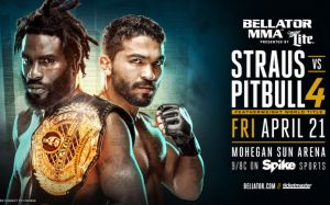 Прямая трансляция Bellator 178