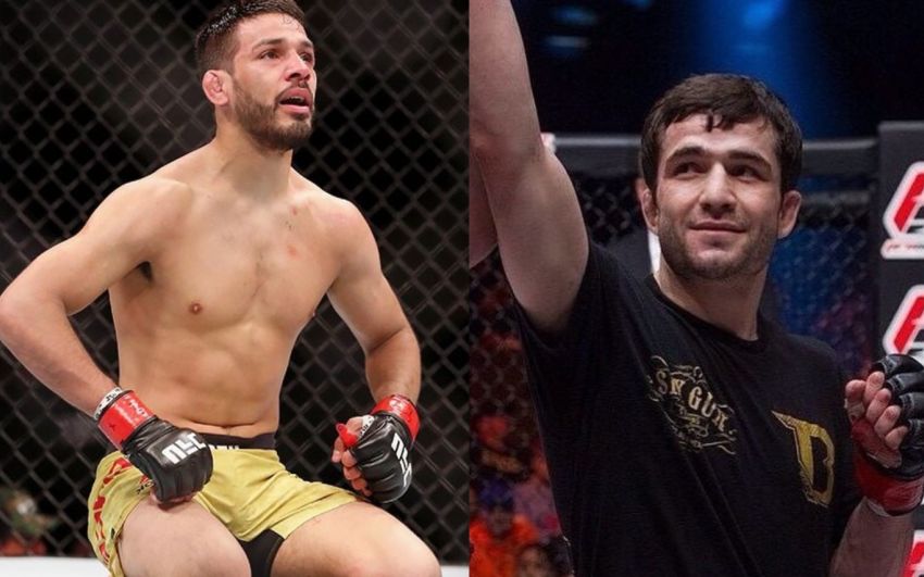 Тимур Валиев подерется с Хулио Арсе на февральском турнире UFC