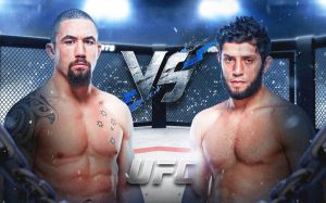 UFC on ABC 6. Смотреть онлайн прямой эфир