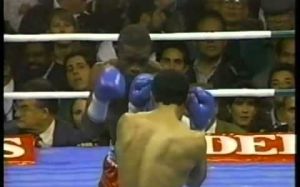 Terry Norris vs Luis Santana. Трилогия. 