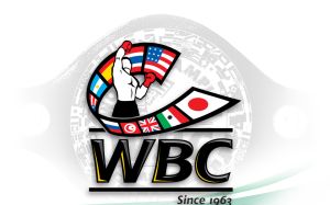 Новый рейтинг федерации WBC в супертяжелом весе за июнь .