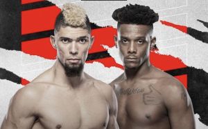 Файткард турнира UFC Fight Night 201