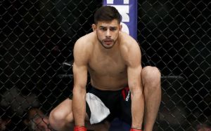 Яир Родригес о своем возможном переходе в Alpha Male Team 