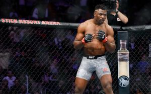Бой Фрэнсиса Нганну и Джуниора Дос Сантоса добавлен в кард турнира UFC 239