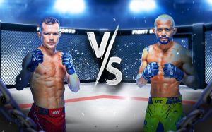 UFC Fight Night 248. Смотреть онлайн прямой эфир