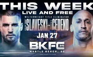 Прямая трансляция BKFC 35